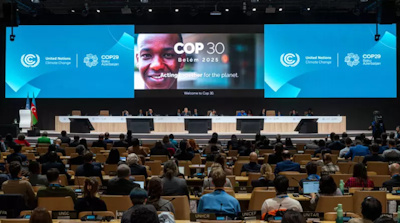 Vue d’ensemble d’une session plénière de la COP29 à Bakou